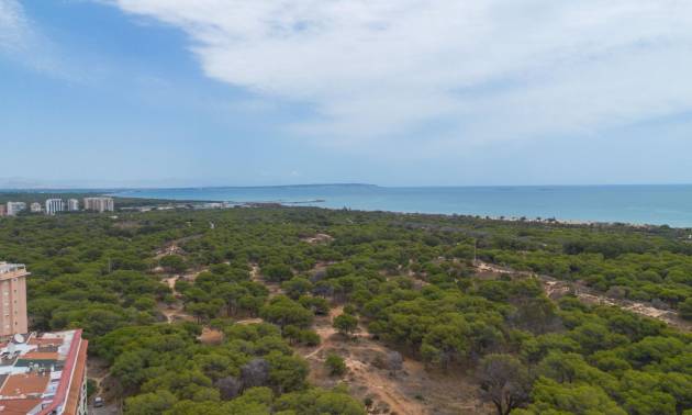 Sale - Apartment - Guardamar del Segura - CENTRO