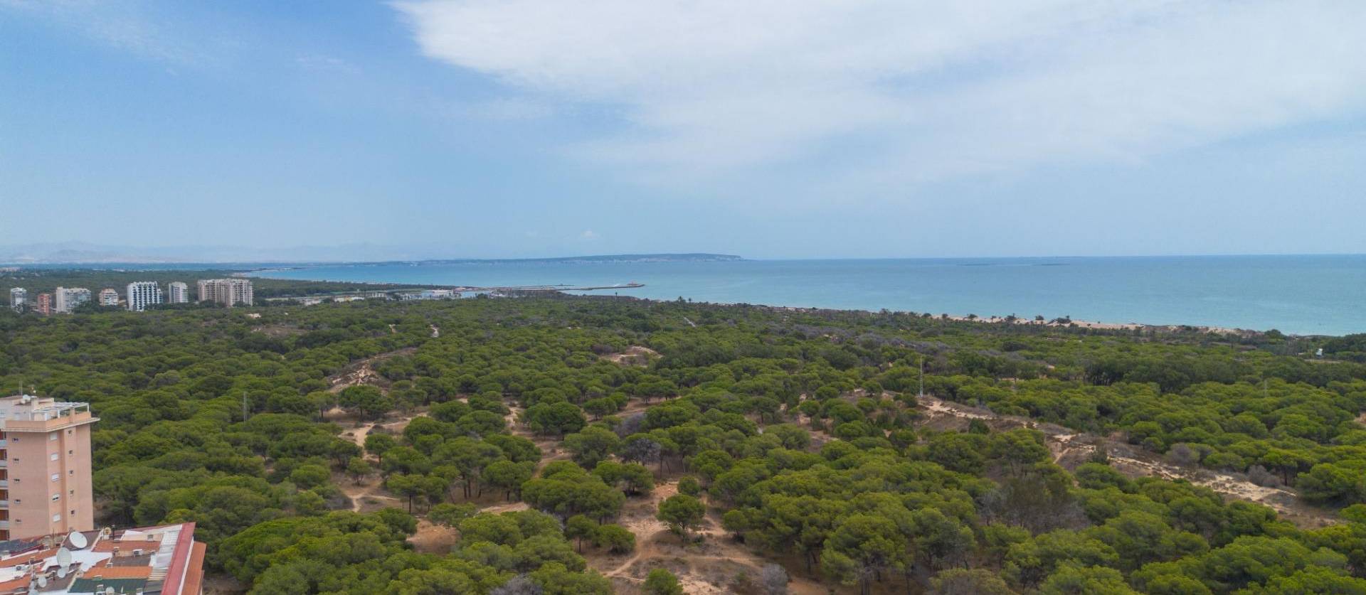 Sale - Apartment - Guardamar del Segura - CENTRO