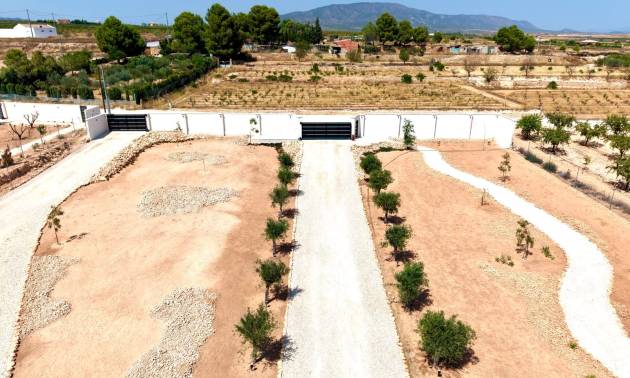 Bestaande woningen - Villa - Pinoso