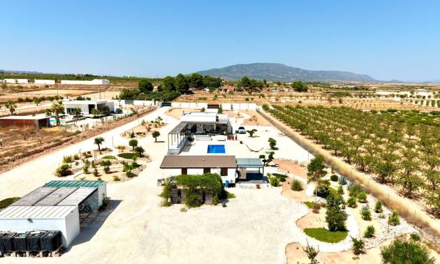 Bestaande woningen - Villa - Pinoso
