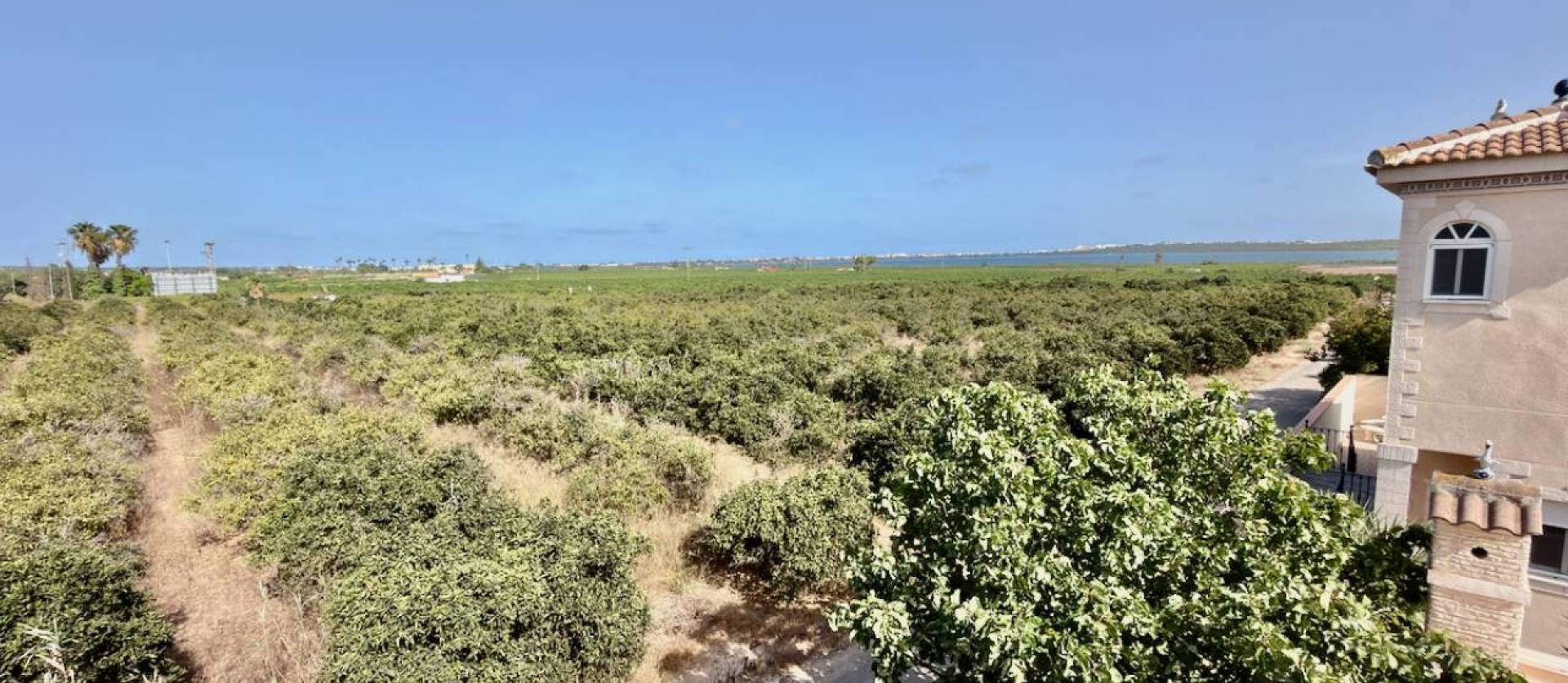 Sale - Villa - Ciudad Quesada - Doña Pepa