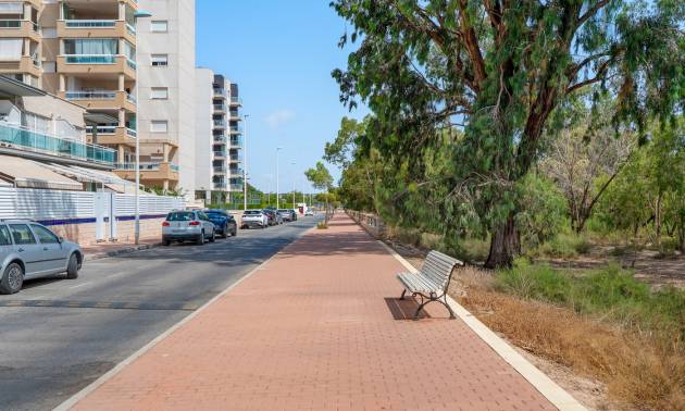 Sale - Apartments - Guardamar del Segura - Guardamar