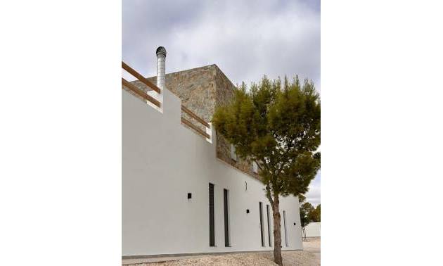New Build - Villa - Pinoso - Casas Pastor