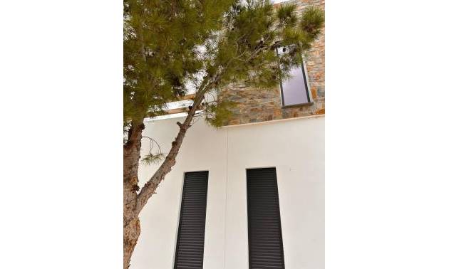 New Build - Villa - Pinoso - Casas Pastor