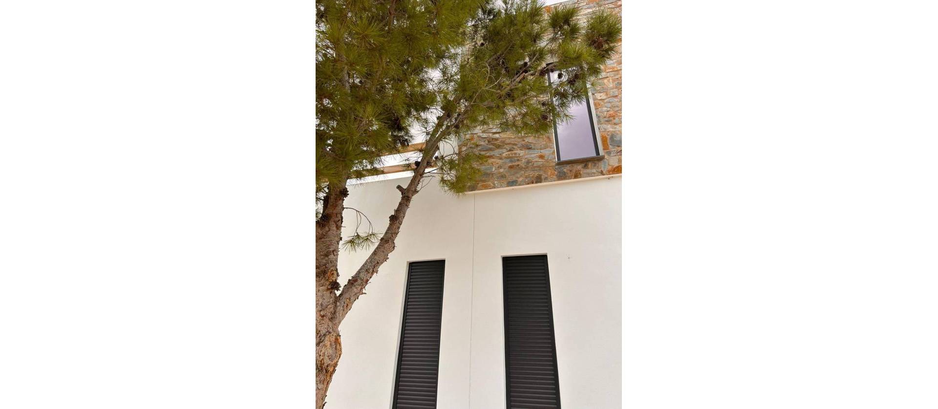 New Build - Villa - Pinoso - Casas Pastor