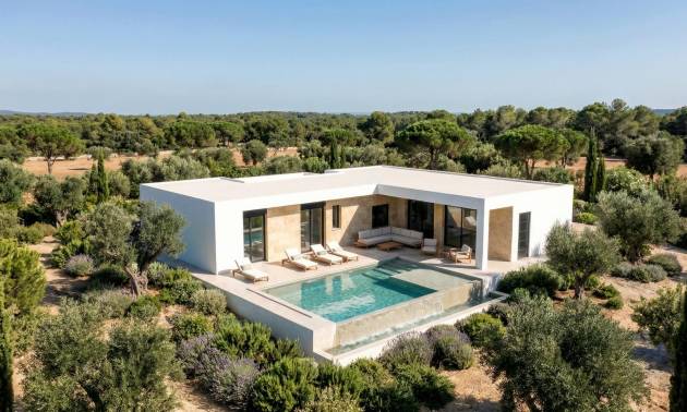 New Build - Villa - Pinoso - Casas Pastor