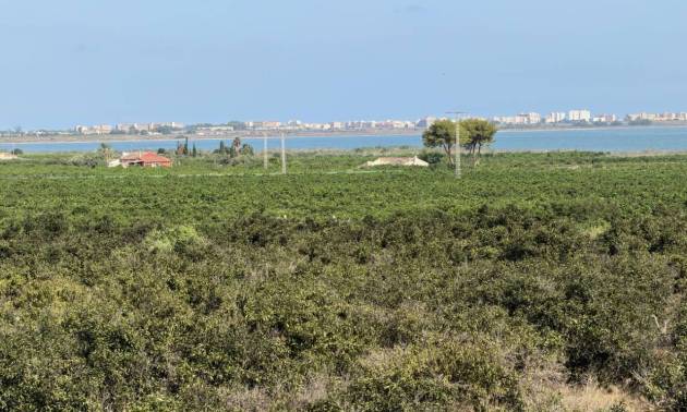 Sale - Villa - Ciudad Quesada - Doña Pepa