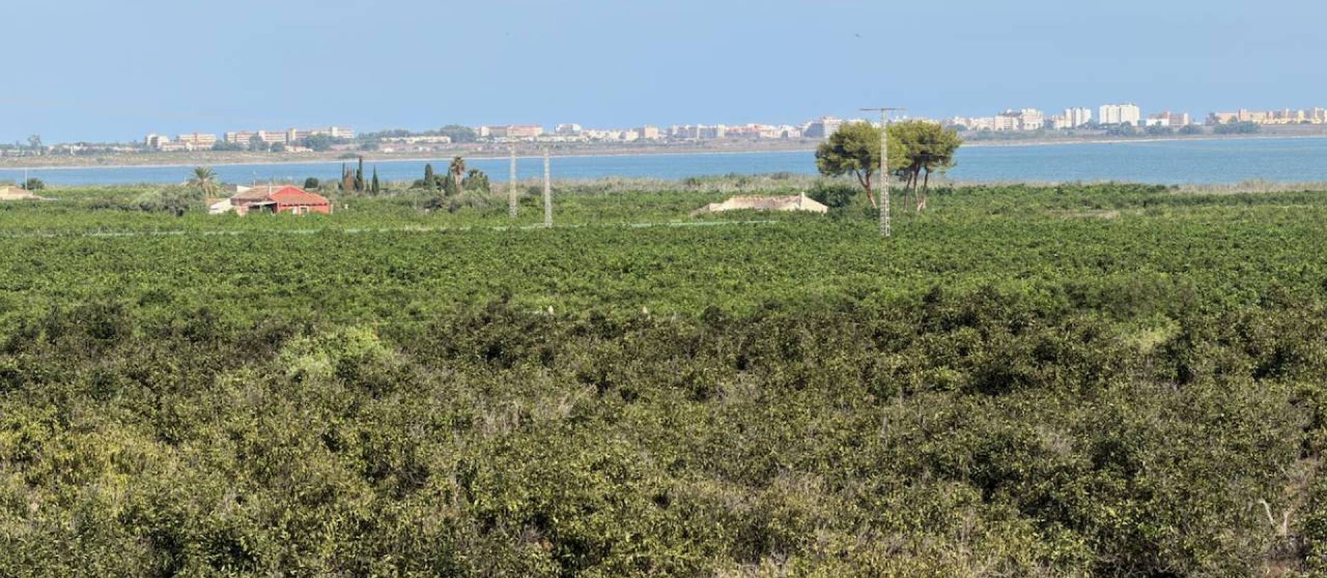 Sale - Villa - Ciudad Quesada - Doña Pepa