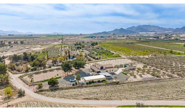 Sale - Villa - Puerto Lumbreras - Esparragal de Puerto Lumbreras