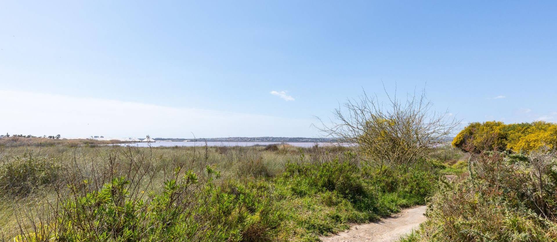 Sale - Bungalow - Torrevieja - Torretas
