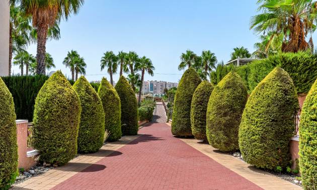 Sale - Apartments - Orihuela Costa - Playa Flamenca