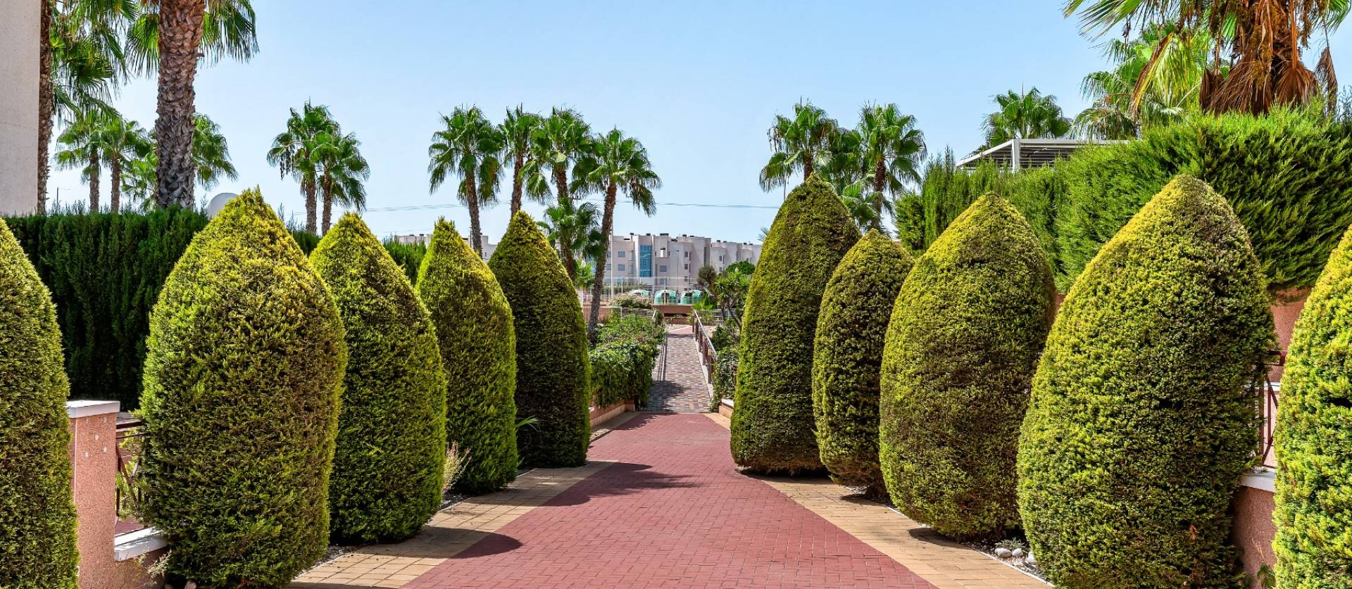 Sale - Apartments - Orihuela Costa - Playa Flamenca