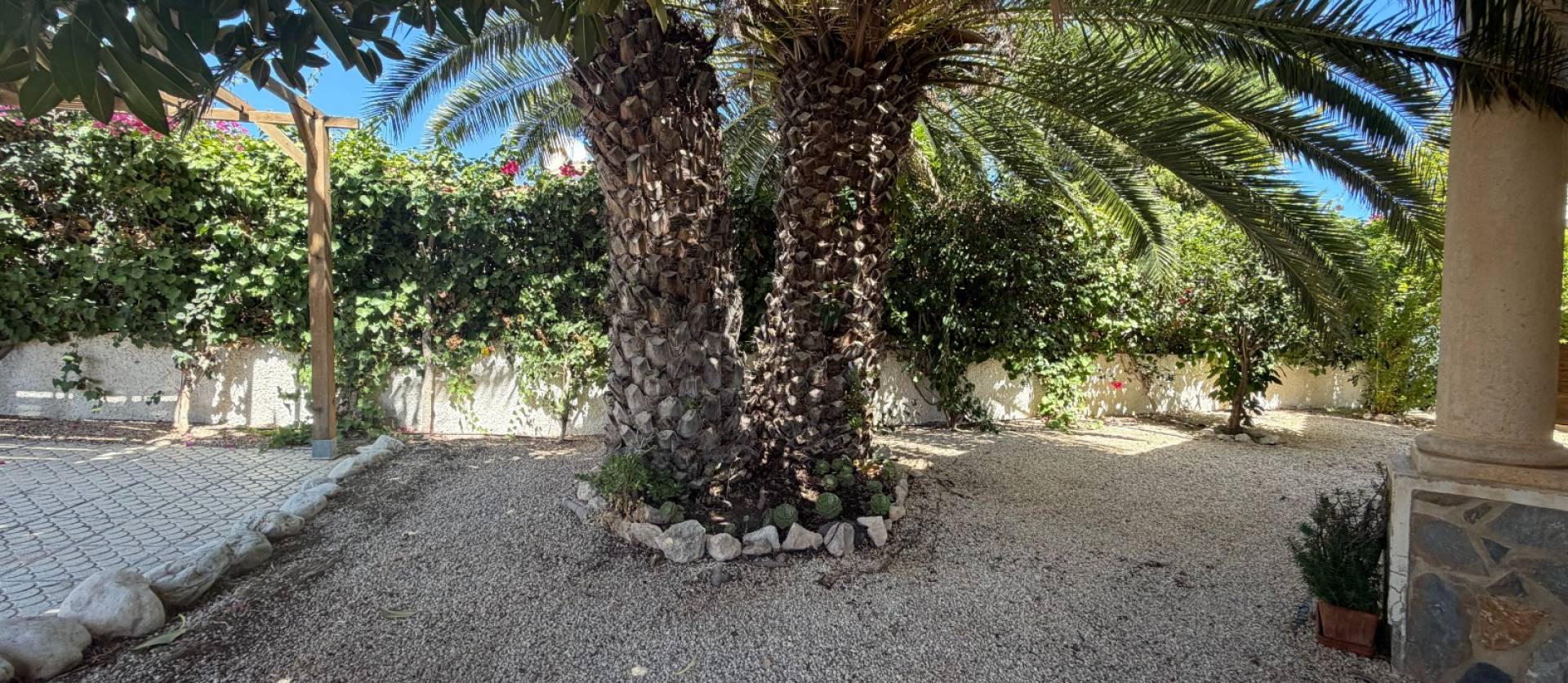 Sale - Villa - Rojales - Lo Pepín