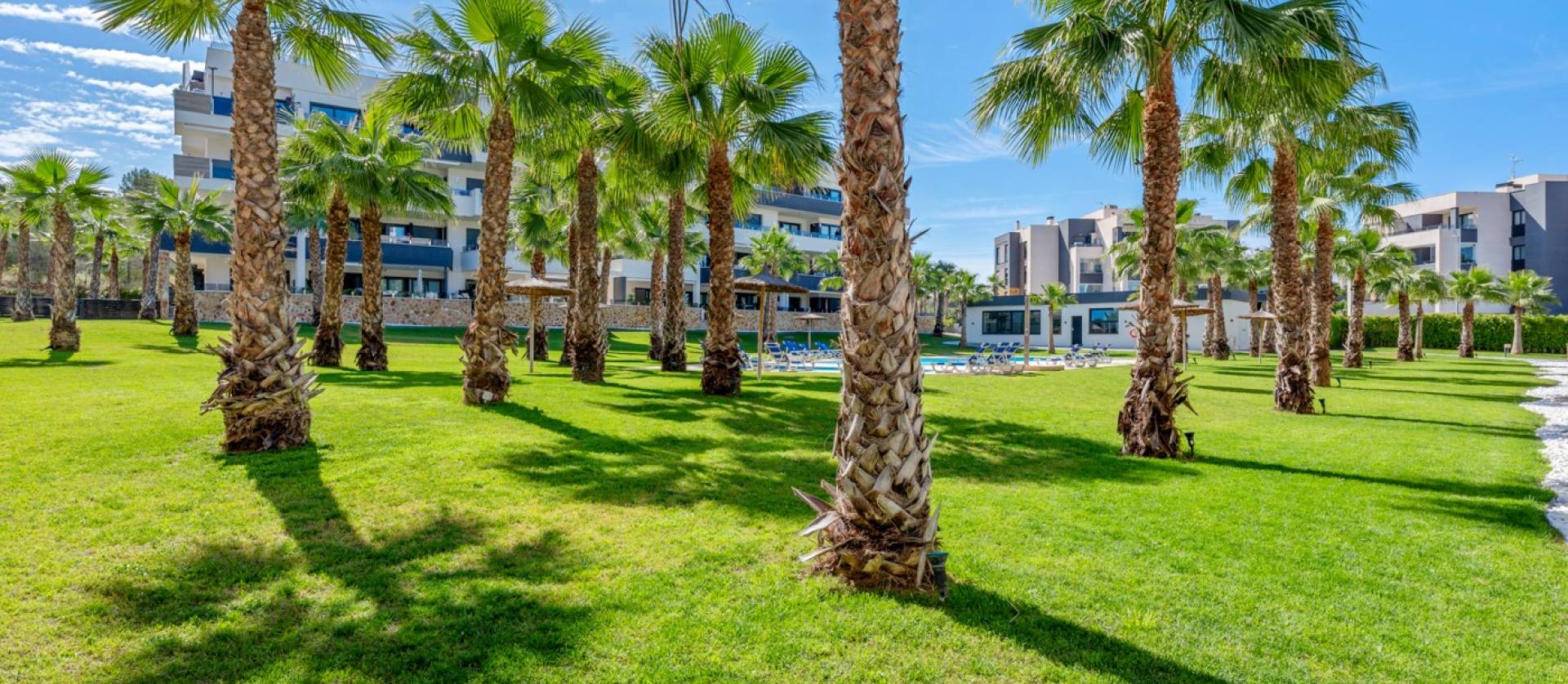 Sale - Apartment - Orihuela Costa - Los Altos